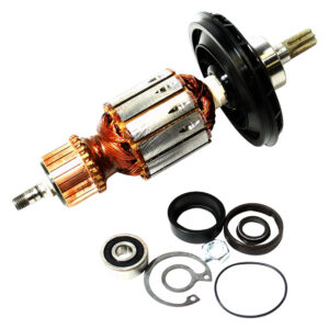 BCH-1614011107 INDUCIDO