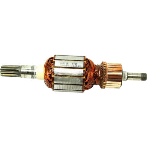 BCH-1614011118 INDUCIDO