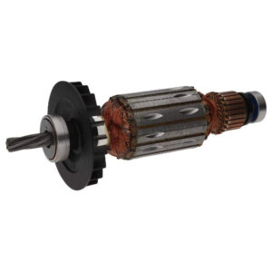 BCH-F000605051 INDUCIDO